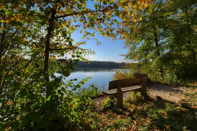 多耀眼的纪 多耀眼的纪