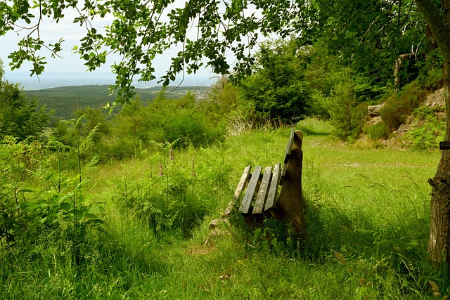 仔细研究梁 仔细研究梁