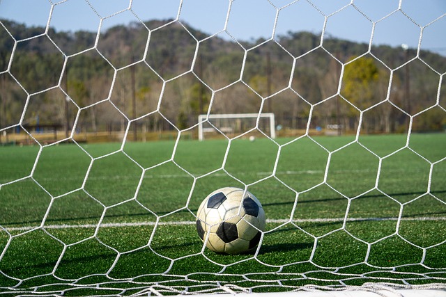 给出了一个 给出了一个