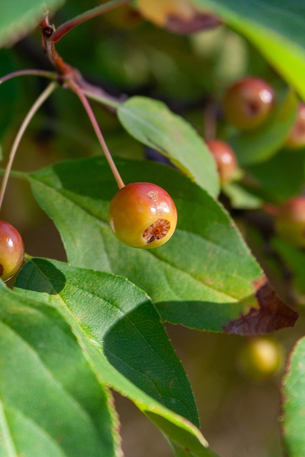 队友一起构 队友一起构