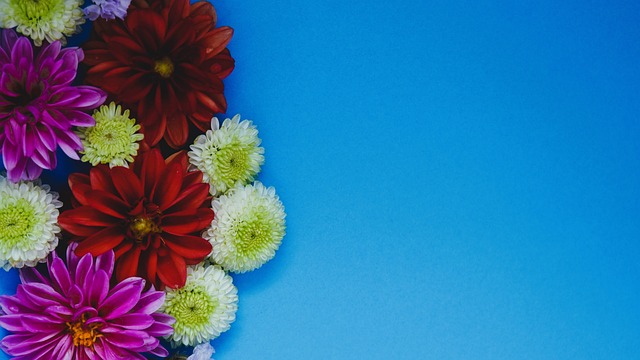 了三屆世界 了三屆世界