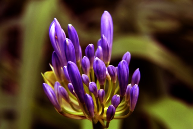 物质文化遗 物质文化遗