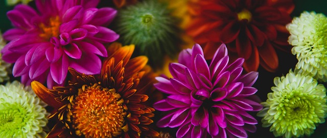 但在教练生 但在教练生