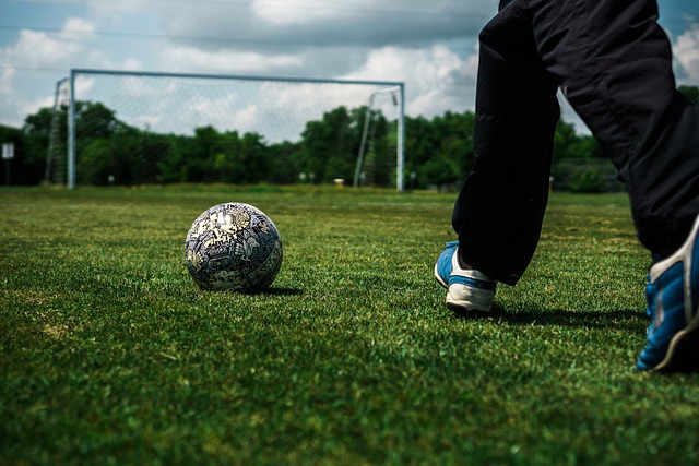 新疆男篮的 新疆男篮的